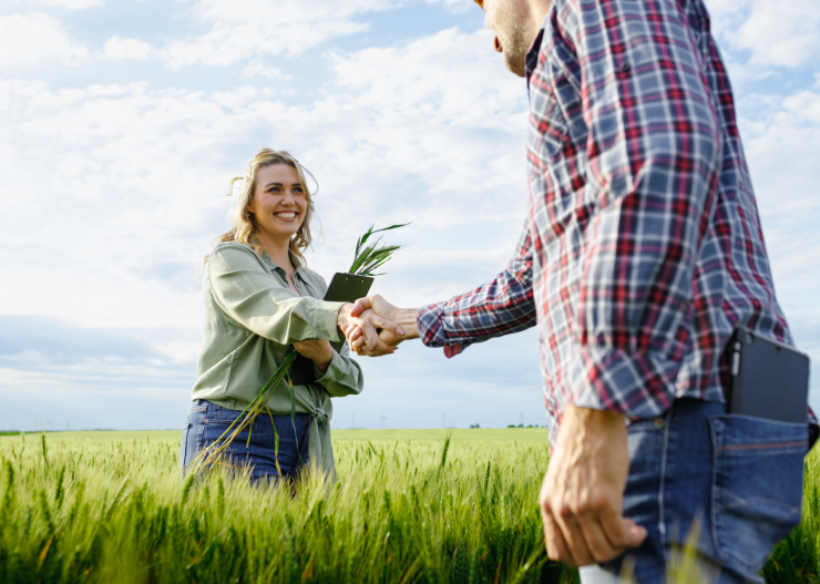 Igualdad con contenido