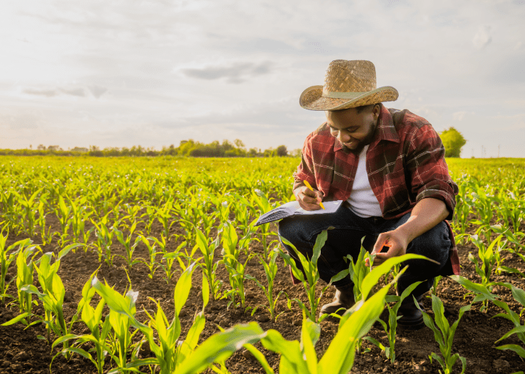 La inmigración legal es necesaria