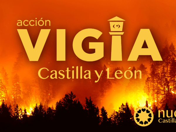 Nueve CyL se reúne con Comisiones Obreras para preparar una línea de trabajo para la mejora de la prevención de incendios en la&nbsp;Comunidad