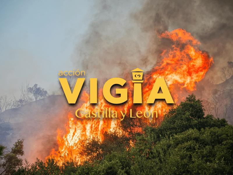Nueve CyL presenta su estrategia integral contra los incendios&nbsp;forestales